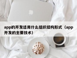 app的开发适用什么组织结构形式（app开发的主要技术）