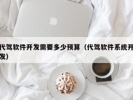 代驾软件开发需要多少预算（代驾软件系统开发）