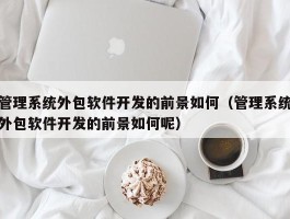 管理系统外包软件开发的前景如何（管理系统外包软件开发的前景如何呢）