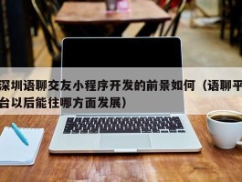 深圳语聊交友小程序开发的前景如何（语聊平台以后能往哪方面发展）