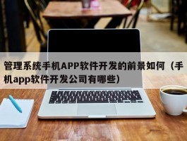 管理系统手机APP软件开发的前景如何（手机app软件开发公司有哪些）