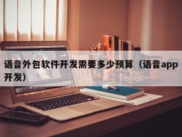 语音外包软件开发需要多少预算（语音app开发）