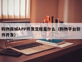 购物商城APP开发流程是什么（购物平台软件开发）