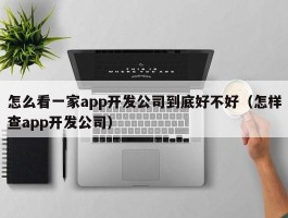 怎么看一家app开发公司到底好不好（怎样查app开发公司）
