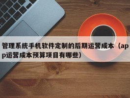 管理系统手机软件定制的后期运营成本（app运营成本预算项目有哪些）