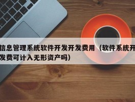 信息管理系统软件开发开发费用（软件系统开发费可计入无形资产吗）