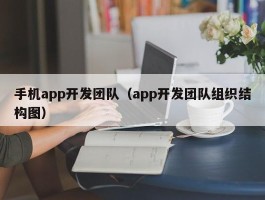 手机app开发团队（app开发团队组织结构图）