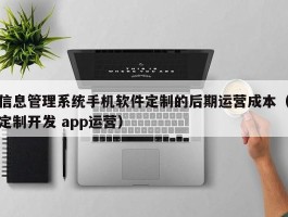 信息管理系统手机软件定制的后期运营成本（定制开发 app运营）