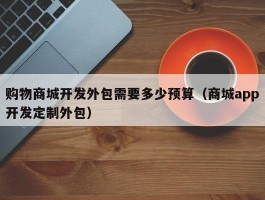 购物商城开发外包需要多少预算（商城app开发定制外包）