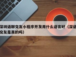 深圳语聊交友小程序开发用什么语言好（深语交友是真的吗）