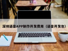 深圳语音APP制作开发费用（语音开发包）