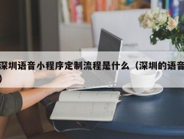 深圳语音小程序定制流程是什么（深圳的语音）