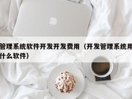 管理系统软件开发开发费用（开发管理系统用什么软件）