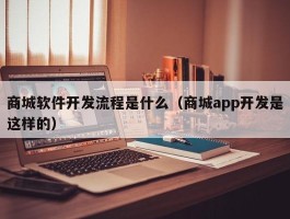 商城软件开发流程是什么（商城app开发是这样的）