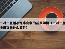 一对一直播小程序定制的前景如何（一对一直播赚钱是什么软件）