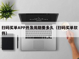 扫码买单APP开发周期要多久（扫码买单软件）