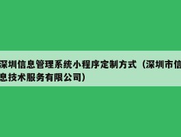 深圳信息管理系统小程序定制方式（深圳市信息技术服务有限公司）