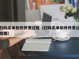 扫码买单软件开发过程（扫码买单软件开发过程图）