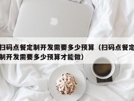 扫码点餐定制开发需要多少预算（扫码点餐定制开发需要多少预算才能做）