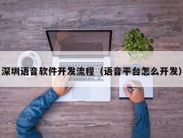 深圳语音软件开发流程（语音平台怎么开发）