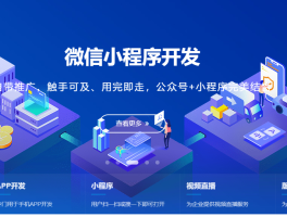 重塑私域增长引擎：自营商城小程序如何驱动企业数字新未来