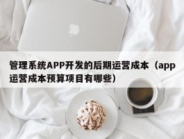 管理系统APP开发的后期运营成本（app运营成本预算项目有哪些）