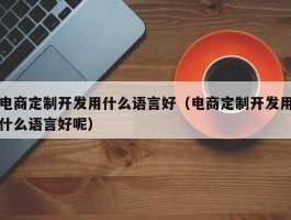 电商定制开发用什么语言好（电商定制开发用什么语言好呢）