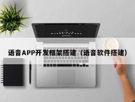 语音APP开发框架搭建（语音软件搭建）