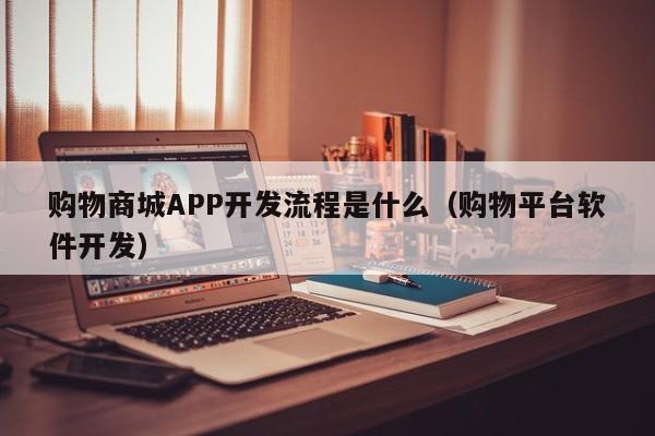 购物商城APP开发流程是什么(购物平台软件开发)