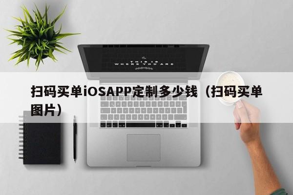 扫码买单iOSAPP定制多少钱(扫码买单图片)