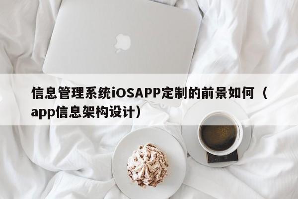 信息管理系统iOSAPP定制的前景如何(app信息架构设计)