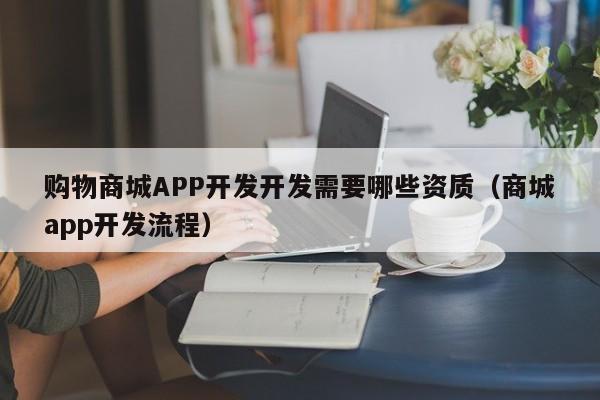 购物商城APP开发开发需要哪些资质(商城app开发流程)
