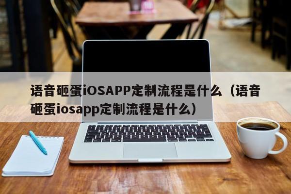 语音砸蛋iOSAPP定制流程是什么(语音砸蛋iosapp定制流程是什么)