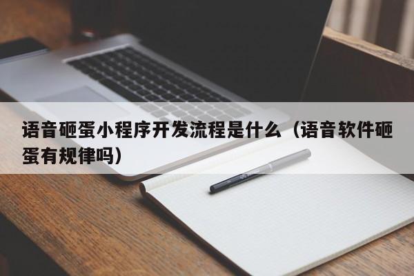语音砸蛋小程序开发流程是什么(语音软件砸蛋有规律吗)