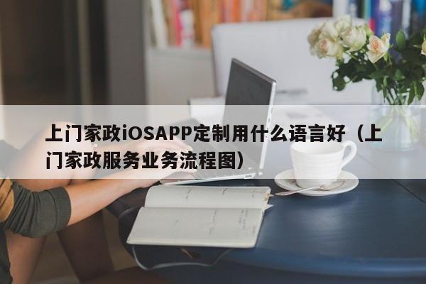 上门家政iOSAPP定制用什么语言好(上门家政服务业务流程图)