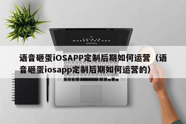 语音砸蛋iOSAPP定制后期如何运营(语音砸蛋iosapp定制后期如何运营的)