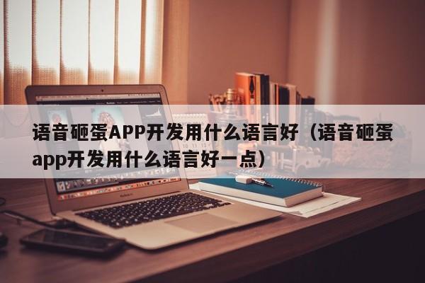 语音砸蛋APP开发用什么语言好(语音砸蛋app开发用什么语言好一点)
