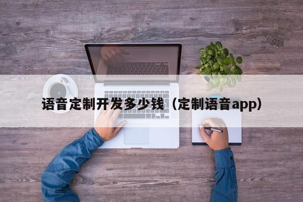语音定制开发多少钱(定制语音app)