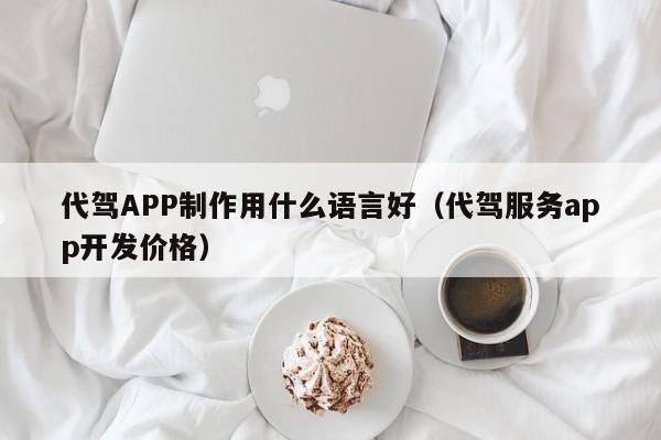 代驾APP制作用什么语言好(代驾服务app开发价格)