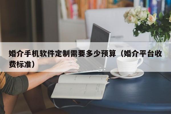 婚介手机软件定制需要多少预算(婚介平台收费标准)
