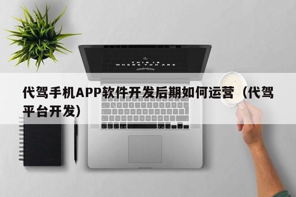 代驾手机APP软件开发后期如何运营(代驾平台开发)
