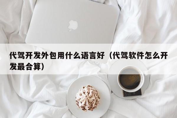 代驾开发外包用什么语言好(代驾软件怎么开发最合算)