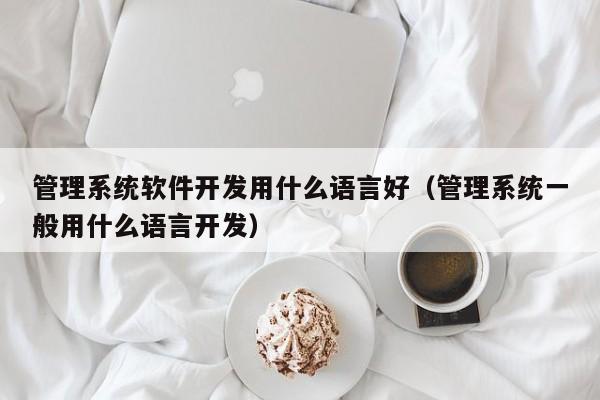 管理系统软件开发用什么语言好(管理系统一般用什么语言开发)