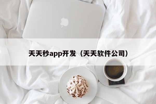 天天秒app开发(天天软件公司)