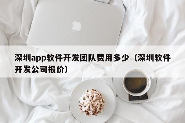 深圳app软件开发团队费用多少(深圳软件开发公司报价)