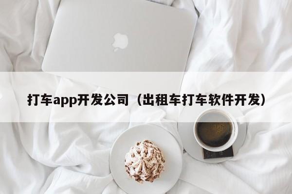 打车app开发公司(出租车打车软件开发)
