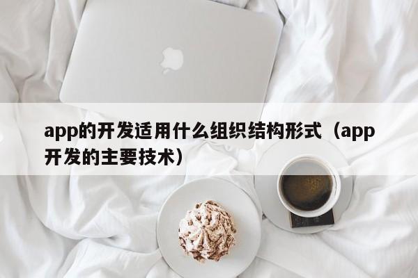 app的开发适用什么组织结构形式(app开发的主要技术)