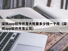 深圳app软件开发大概要多少钱一个月（深圳app软件开发公司）