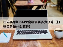 扫码买单iOSAPP定制需要多少预算（扫码定价是什么软件）