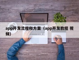 app开发流程和方案（app开发教程 视频）